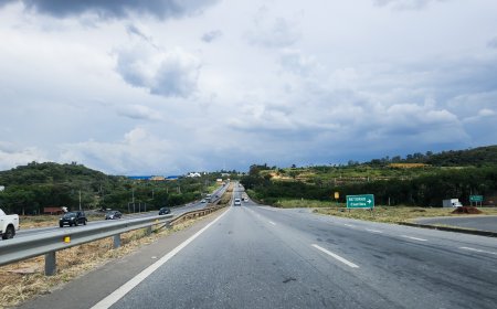 Coluna de sexta-feira dia 28 de março de 2025