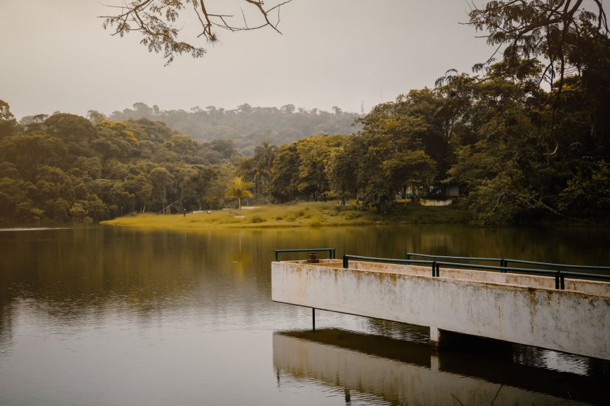 Concessão e cobrança de entrada no Parque da Cascata serão debatidas em Audiência Pública