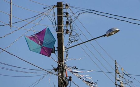 Pipas causam mais de 3,5 mil interrupções de energia em Minas e afetam 1,1 milhão de clientes