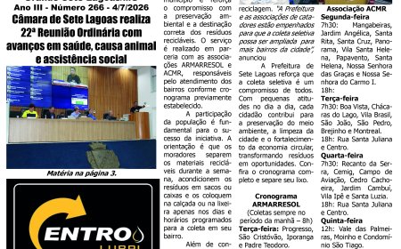 Jornal Diário Sete Lagoas de sábado dia 4 de julho de 2026